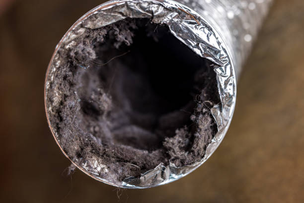 Trusted Mebane, NC Airduct Cleaning Experts
